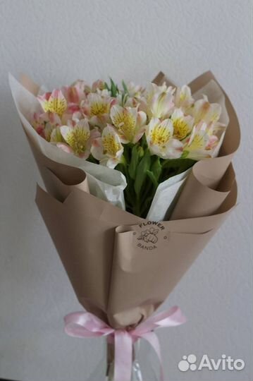 Начинающий фотограф