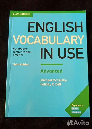 English vocabulary in use advanced