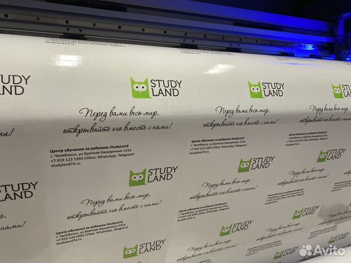 Печать наклеек и этикеток с контурной резкой