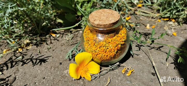 Пыльца цветочная