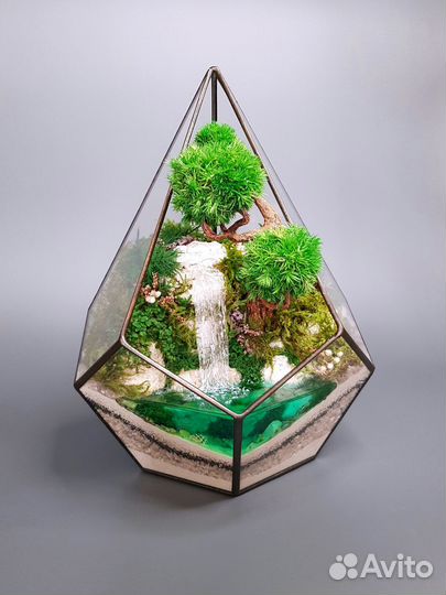 Моссариум (флорариум). Декор. Подарок. Цветы