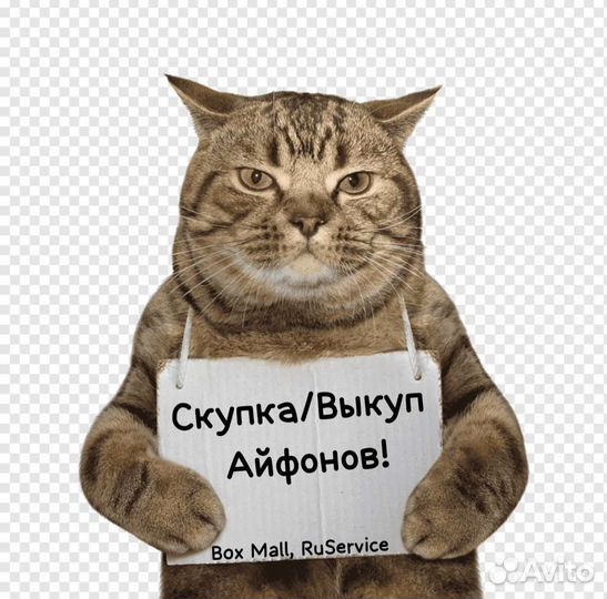 Скупка / Выкуп / Реализация техники Apple