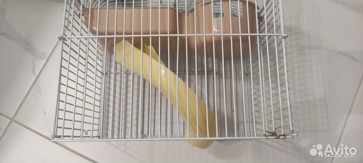 Клетка для джунгарского хомяка