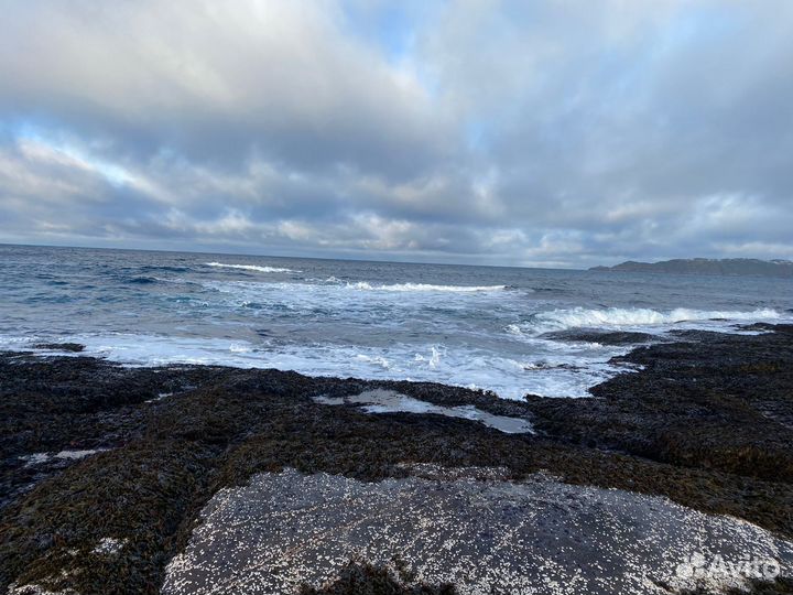 Тур в Териберку