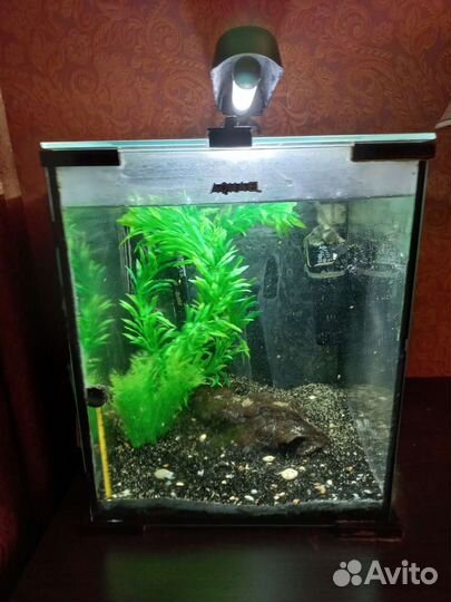 Аквариум aquael 30 литров