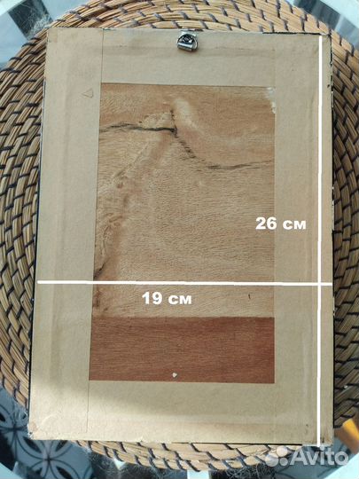 Палочник Зелёная Нимфа - Жуки, бабочки в рамке