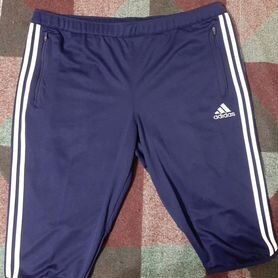 Шорты Adidas