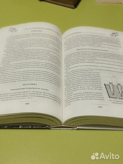 Энциклопедия садовода и огородника Ганичкиных