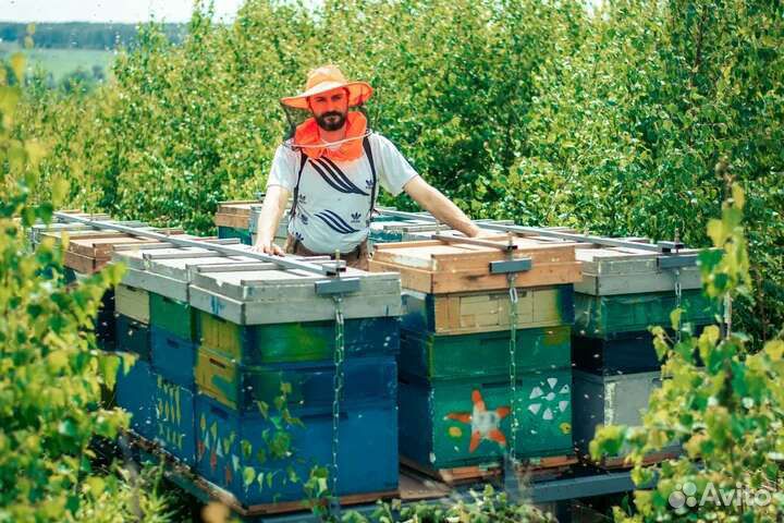 Мед,Перга,Пыльца,Соты,Прополис,Воск