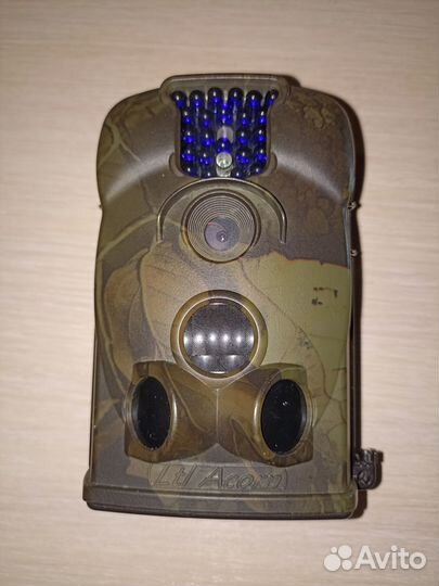 Фотоловушка