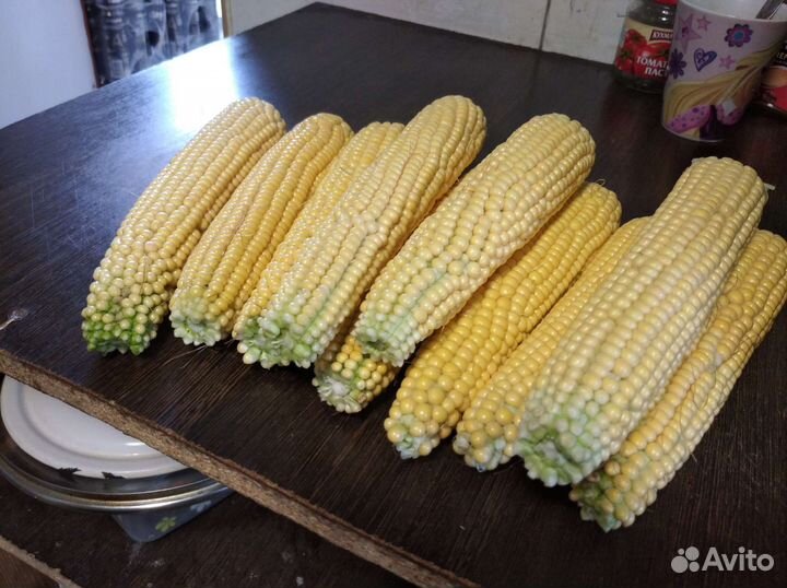 Кукуруза