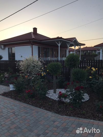 Русская пальма, плетёное дерево