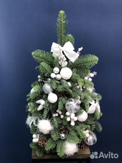 Елка новогодняя живая с доставкой