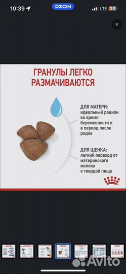 Сухой корм для собак royal canin starter