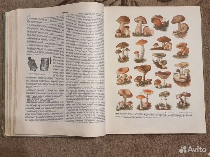 Книги о здоровье