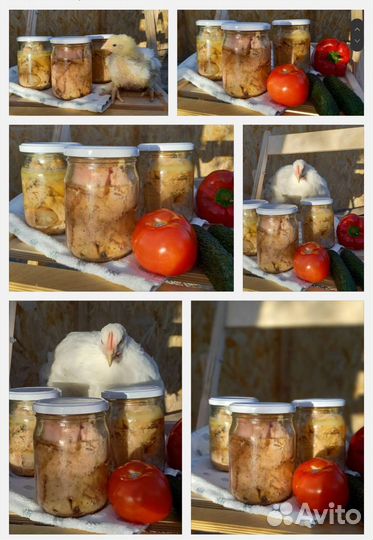 Мясо свинины, тушки цыплят бройлеров