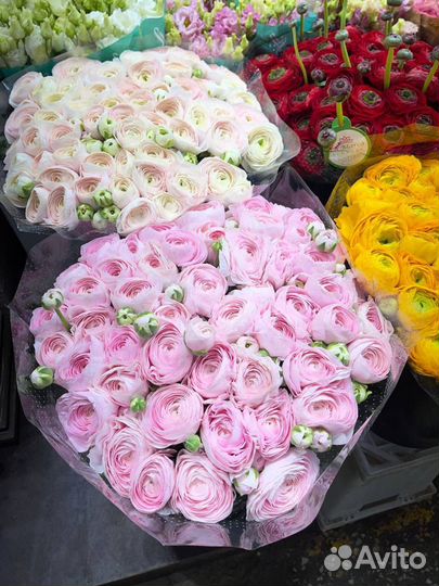 Цветы Букеты Розы с доставкой 21 25 51 101 опт