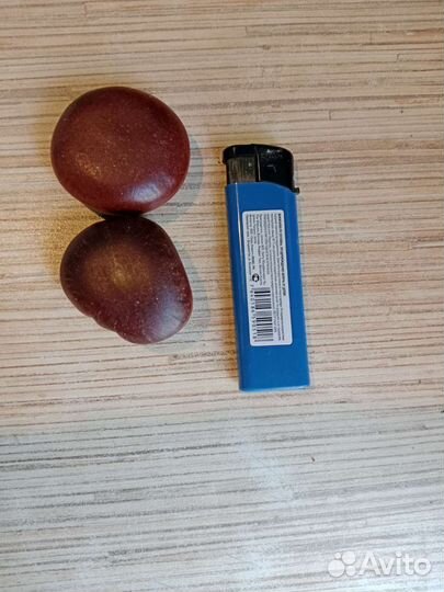 Бобы энтадо