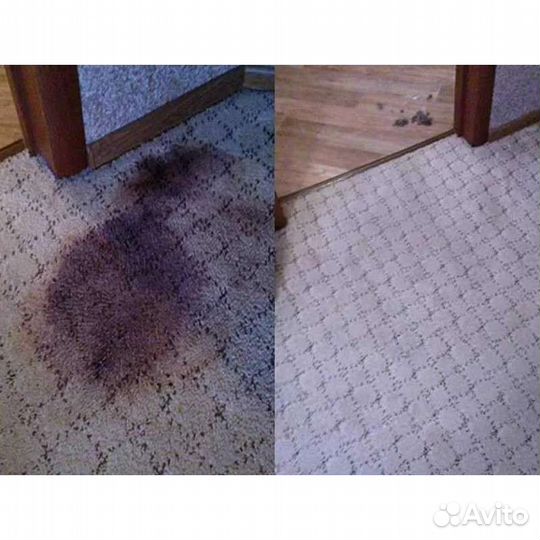 Аренда моющего пылесоса karcher и пароотпаривателя