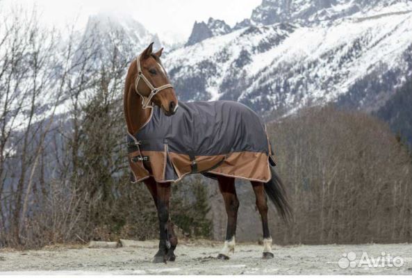 Попона зимняя уличная 600D 300г для лошади новая