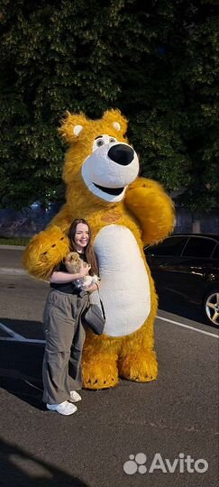 Мишка Потапыч для дня рождения