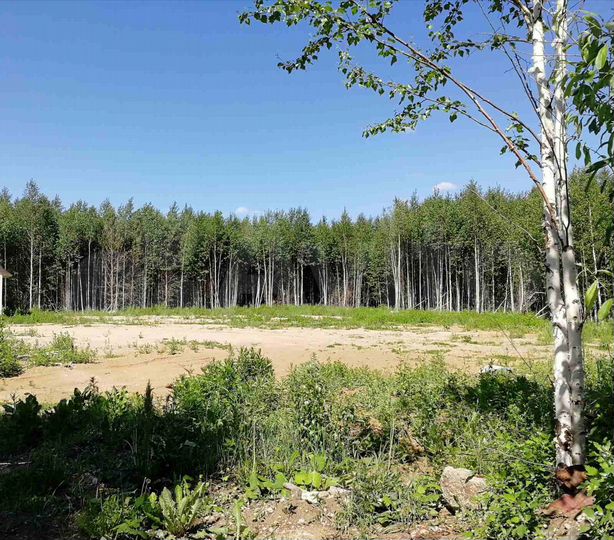 Участок 6,9 сот. (ИЖС)