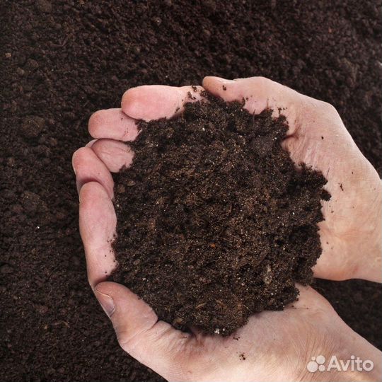 Торфогрунт