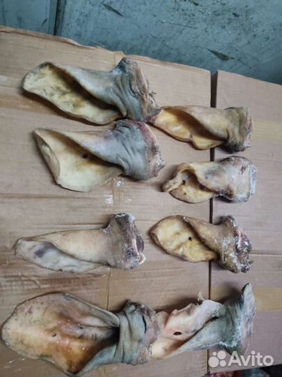 Рубец говяжий для собак