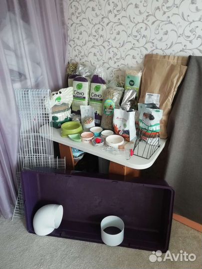 Все для морской свинки, грызунов