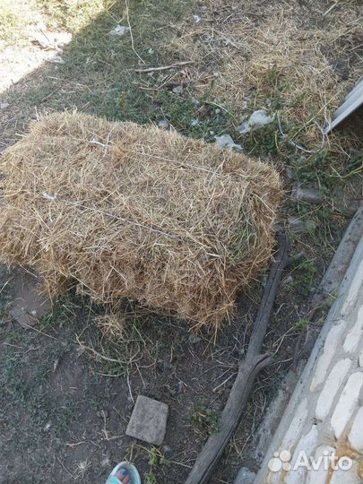 Сено в тюках