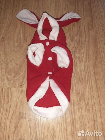 Костюм для маленьких собачек