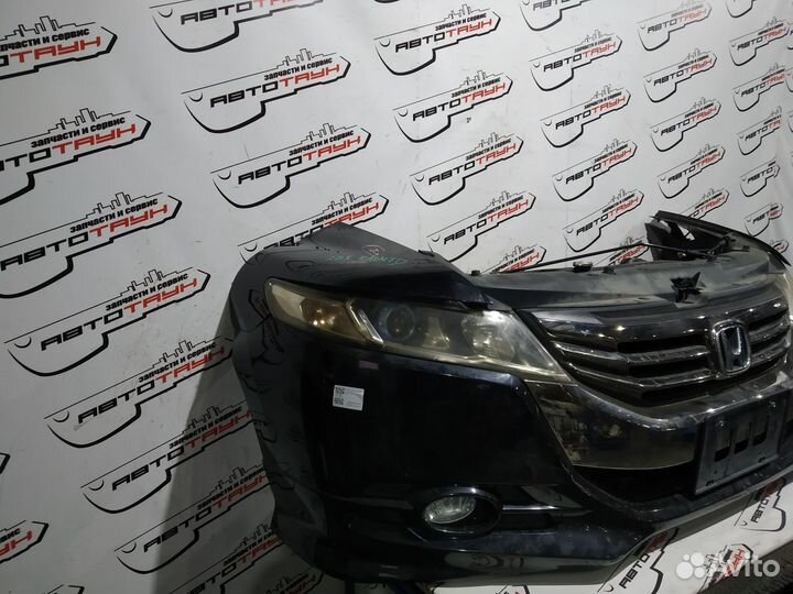 Nosecut honda odyssey RB3 RB4 2 модель absolute ae