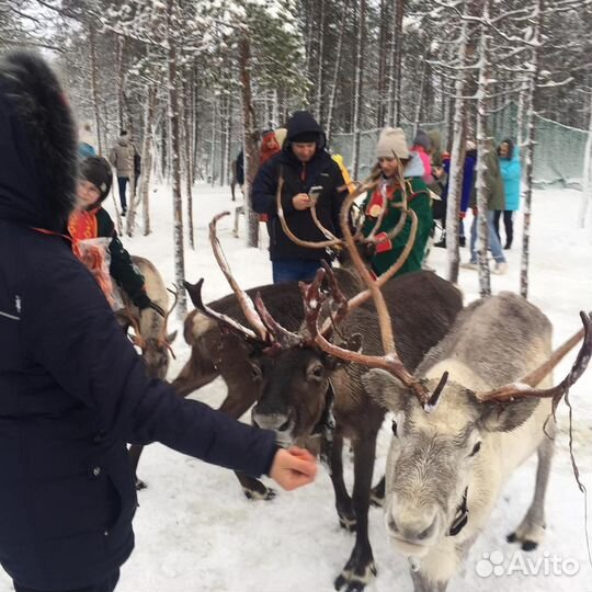 Саамская деревня