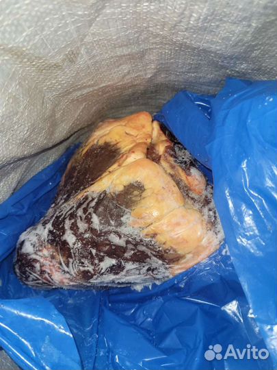 Сердце говяжье для животных