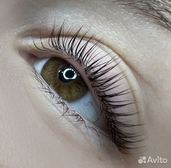 Ламинирование и ботокс ресниц, окрашивание бровей