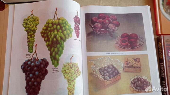 Книги по кулинарии СССР