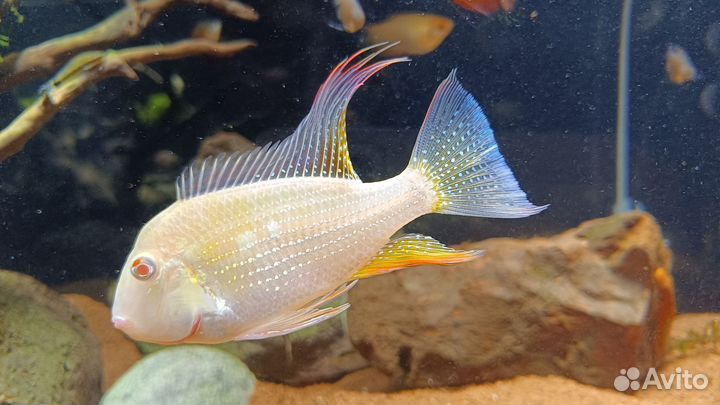 Аквариум Dennerle Nano Cube на 30 л