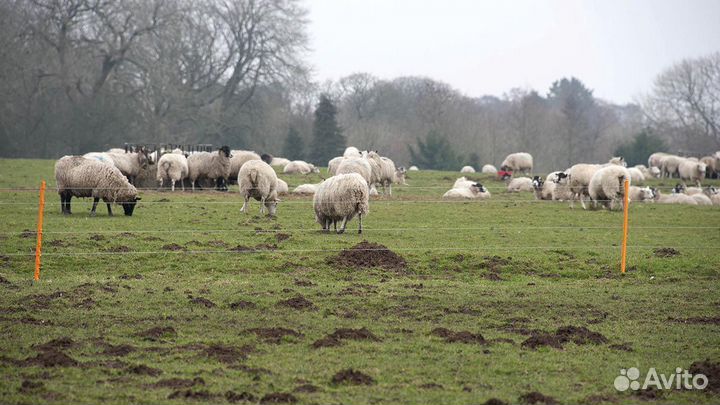 Электропастух