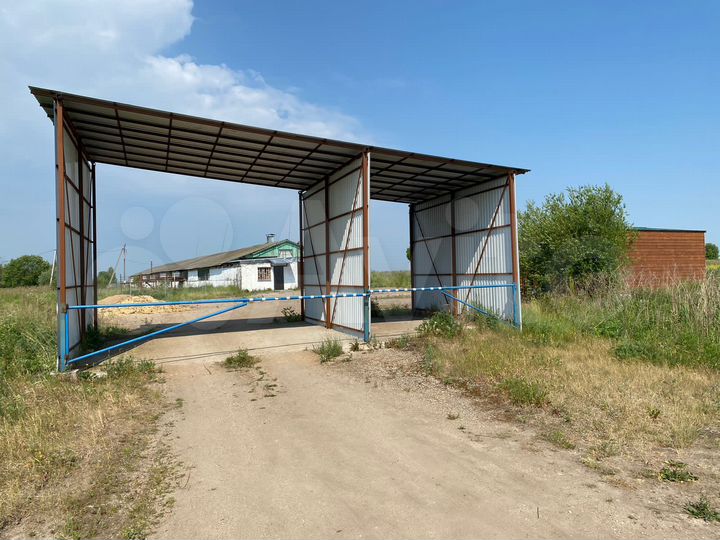 Здание, 1246.3 м²