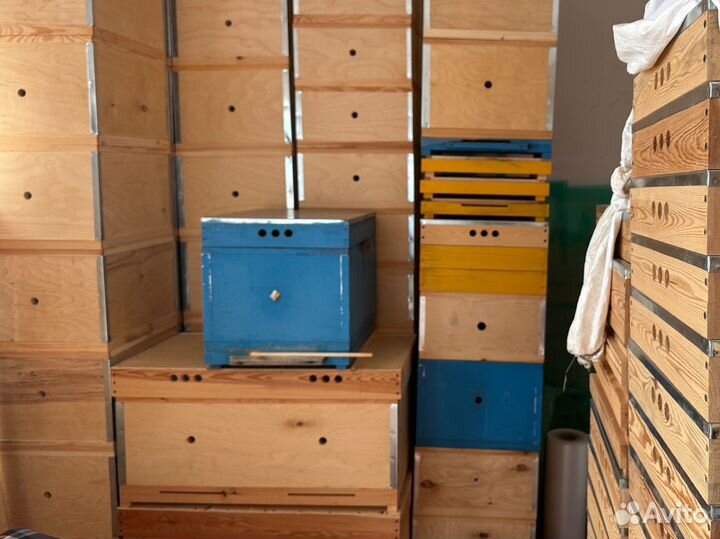 Пчелиные ульи. Дадан.Рут