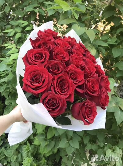 Букет роз 25 штук