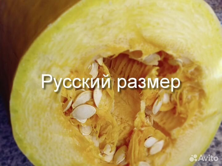 Зимние кабачки