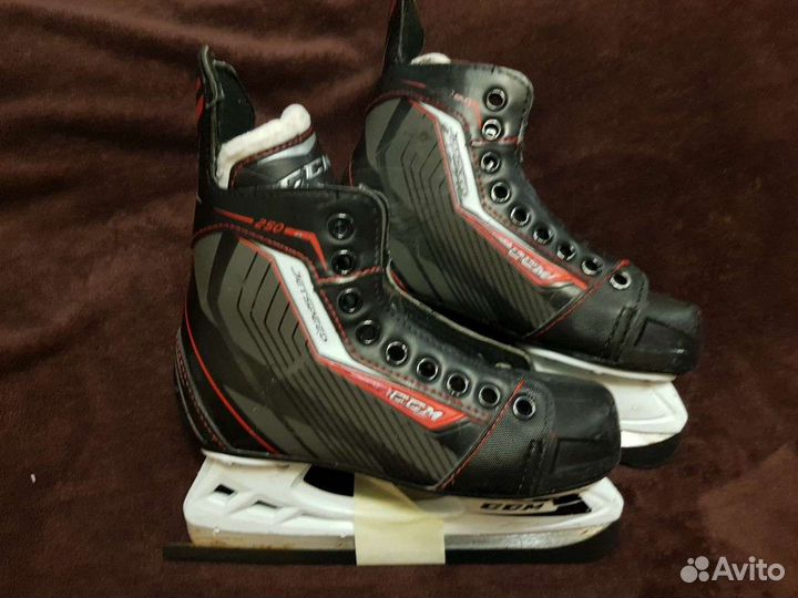 Коньки щитки