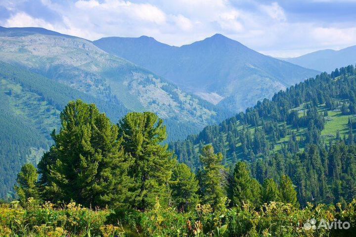 Экскурсия в Абхазию