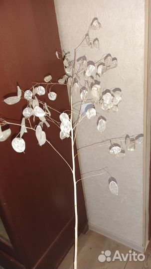 Лунария,флористика