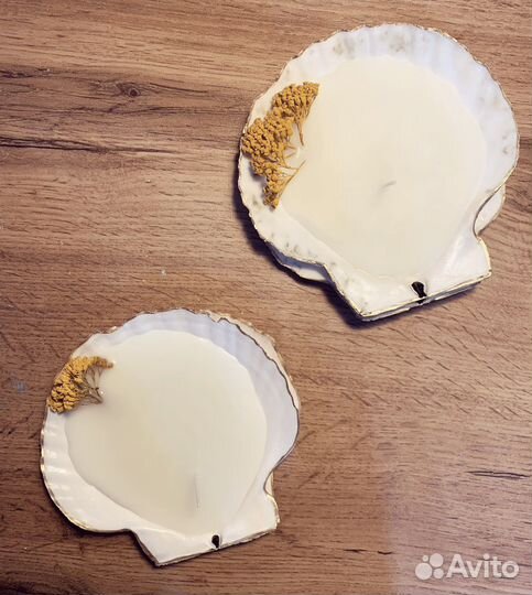 Свечи в устрицах/ Раковины устриц