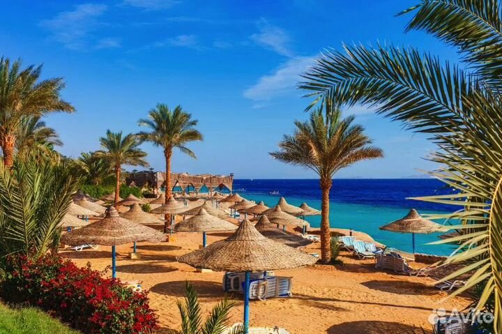 Тур в Шарм-Эль-Шейх 6 дн