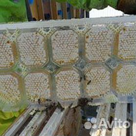 Рамки для сотового меда, купить мед в сотах