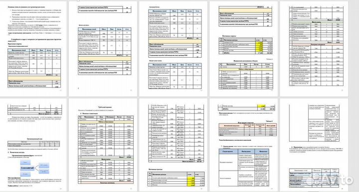 Бизнес план для соцконтракта