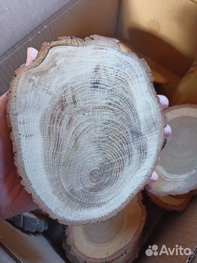 Спилы для панно, рисунка, выжигания